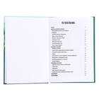 Внеклассное чтение «Волшебник Изумрудного города» - фото 24006140