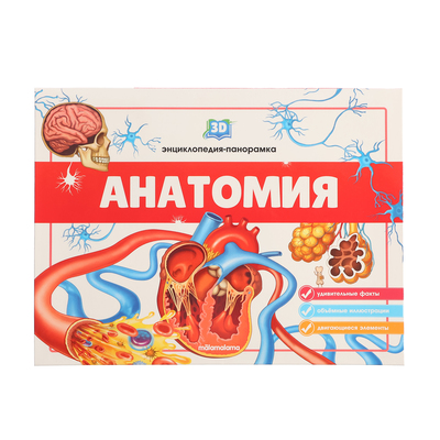 3D энциклопедия-панорамка «Анатомия»
