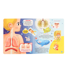 Книжка с окошками «Анатомия» - фото 24672061