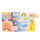 Книжка с окошками «Анатомия» - фото 24672062