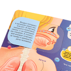 Книжка с окошками «Анатомия» - фото 24672063