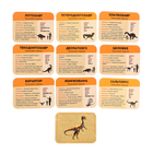 Интерактивная энциклопедия «Динозавры» - фото 24672087