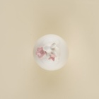 Банка для сыпучих SL Home «Лесные кролики», 220 мл, 7.5×16 см, фарфор, белая - Фото 6