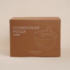 Центрифуга для сушки зелени SL Home «Оливковая роща», 5 л, стекло, оливковая - Фото 11