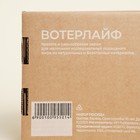 Набор детской деревянной посуды Sima-Land Home WaterLife, 3 предмета: кит 20×12,5 см, черепаха 20×19,5 см, морская звезда d=20 см, подарочная коробка - фото 25419130