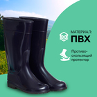 Сапоги женские С-11БВ, ПВХ, фиолетовые, размер 39 - фото 24460962