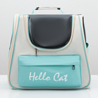 Рюкзак для переноски "Hello Cat", прозрачный, 32 х 21 х 35 см, белый - Фото 2