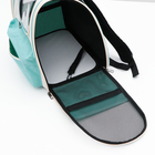 Рюкзак для переноски "Hello Cat", прозрачный, 32 х 21 х 35 см, белый - фото 24062311