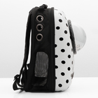 Рюкзак для переноски животных с окном для обзора "Горошек", 32 х 25 х 42 см - фото 9855018