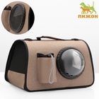 Сумка-переноска с органайзером и иллюминатором, 43×24×28 см, коричневая - Фото 4