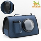 Сумка-переноска с органайзером и иллюминатором, 43×24×28 см, синяя - Фото 4
