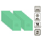 Комплект тетрадей из 20 штук, 12 листов в узкую линию Бумажная фабрика "Зелёная обложка", 60 г/м2, блок офсет, белизна 96% - фото 321521005