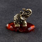 Сувенир "Слон Тайский", латунь, янтарь - Фото 3