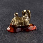 Сувенир "Йоркширкский терьер", латунь, янтарь - фото 24006982