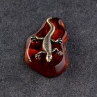 Сувенир "Ящерица", латунь, янтарь. 2,5х,5х1 см - фото 24006992