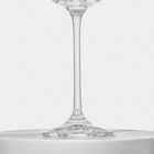 Набор стеклянных бокалов для шампанского «Пион», 150 мл, 6 шт - фото 4450764