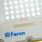 Прожектор светодиодный Feron, LL-950, IP66, 30 Вт, 60х235х293 мм, свечение холодное белое - Фото 8
