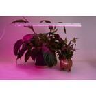 Светильник линейный для растений Feron AL7001, IP40, 9 Вт, 573х20х31 мм, цвет белый - Фото 15