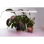 Светильник линейный для растений Feron AL7002, IP40, 14 Вт, 873х20х31 мм, цвет белый - Фото 7