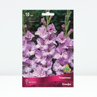 Гладиолус крупноцветковый "Альфа",  р-р 10/12, 10 шт, Весна 2024 - Фото 1