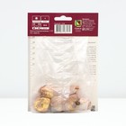 Гладиолус крупноцветковый "Альфа",  р-р 10/12, 10 шт, Весна 2024 - Фото 2