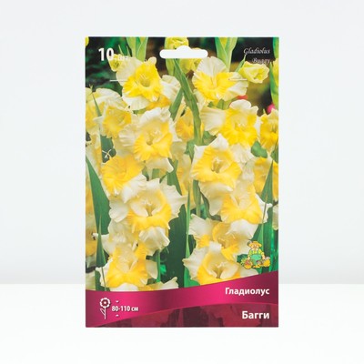 Гладиолус крупноцветковый «Багги», луковица цветов в пакете с перфорацией, р-р 10/12, 10 шт.