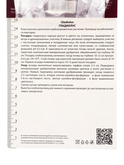 Гладиолус крупноцветковый Биг Герл р-р 10/12, 10 шт. Весна 2026