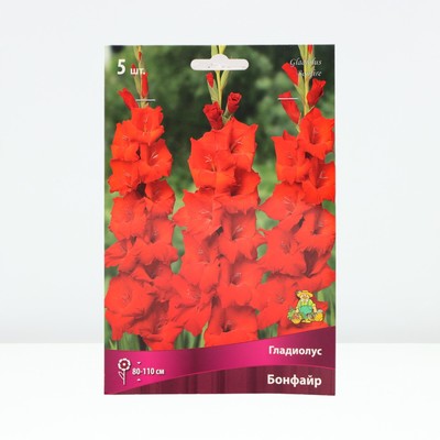 Гладиолус крупноцветковый «Бонфайр», луковица цветов в пакете с перфорацией, р-р 12/14, 5 шт.