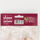 Гладиолус крупноцветковый «Вайн энд Роузес», луковица цветов в пакете с перфорацией, р-р 10/12, 10 шт. - Фото 3