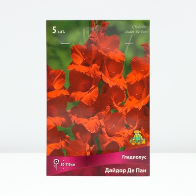 Гладиолус крупноцветковый «Дайдор Де Пан», луковица цветов в пакете с перфорацией, р-р 12/14, 5 шт.