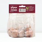 Гладиолус крупноцветковый «Джессика», луковица цветов в пакете с перфорацией, р-р 10/12, 10 шт. - Фото 2