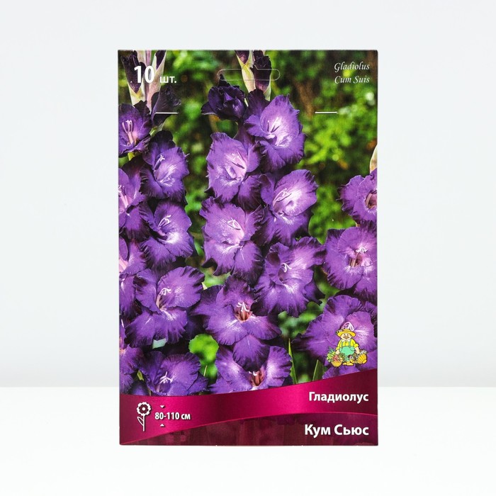 Гладиолус крупноцветковый «Кум Сьюс»,луковица цветов в пакете с перфорацией, р-р 10/12, 10 шт. - Фото 1