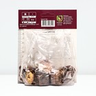 Гладиолус крупноцветковый «Кум Сьюс»,луковица цветов в пакете с перфорацией, р-р 10/12, 10 шт. - Фото 2