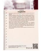 Гладиолус крупноцветковый Лайв Оук р-р 12/14, 5 шт. Весна 2026 - Фото 4