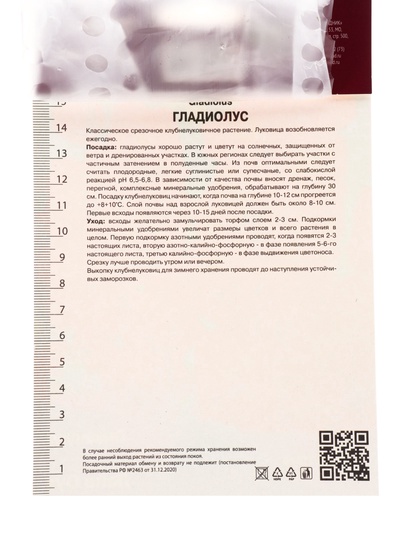 Гладиолус крупноцветковый Лайв Оук р-р 12/14, 5 шт. Весна 2026