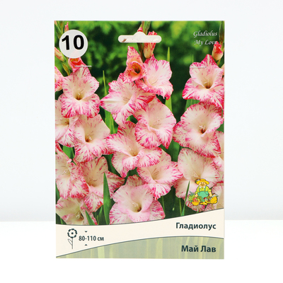 Гладиолус крупноцветковый Май Лав р-р 10/12, 10 шт. Весна 2026