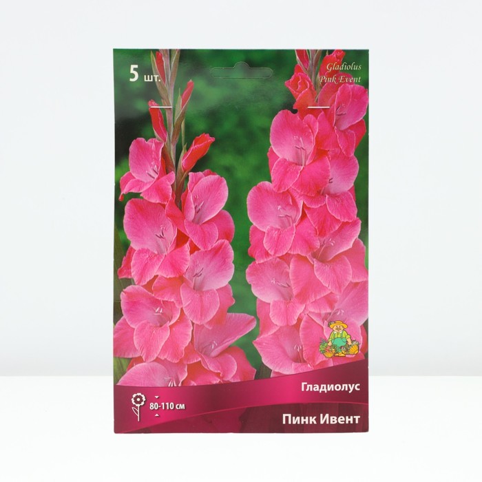 Гладиолус крупноцветковый «Пинк Ивент», луковица цветов в пакете с перфорацией, р-р 12/14, 5 шт. - Фото 1