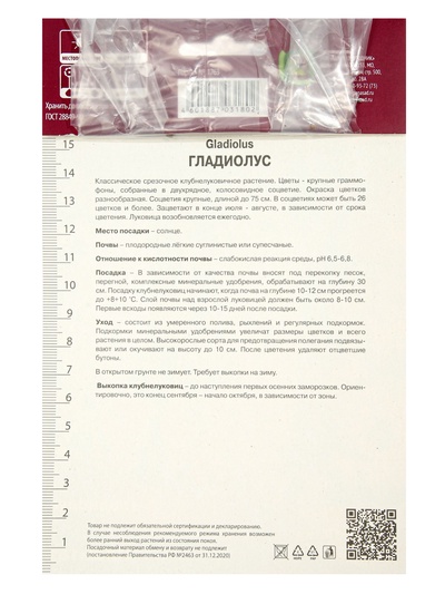 Гладиолус крупноцветковый Пламтат р-р 10/12, 10 шт. Весна 2026