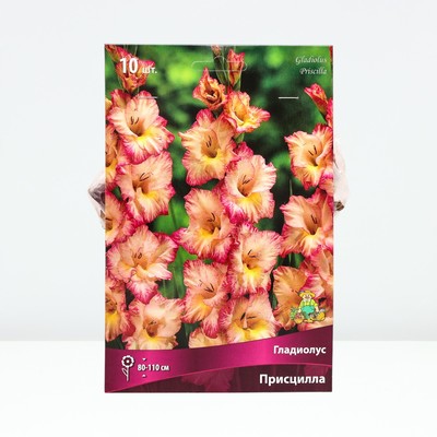 Гладиолус крупноцветковый «Присцилла», луковица цветов в пакете с перфорацией, , р-р 10/12, 10 шт.