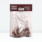 Гладиолус крупноцветковый «Рома», луковица цветов в пакете с перфорацией, р-р 10/12, 10 шт. - Фото 2