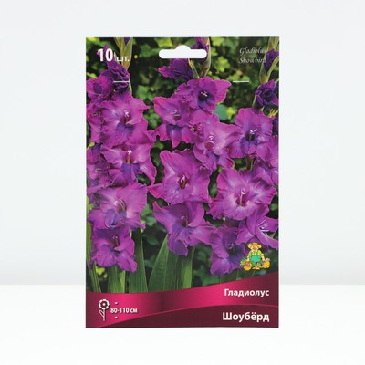 Гладиолус крупноцветковый "Шоубёрд", р-р 10/12, 10 шт, Весна 2024