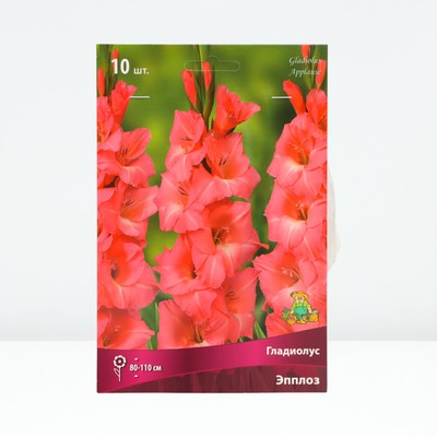Гладиолус крупноцветковый "Эпплоз", р-р 10/12, 10 шт, Весна 2024