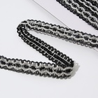 Тесьма декоративная, 16 мм, 9.1±1 м, цвет чёрный, серебряный - Фото 2