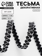 чёрный/серебряный