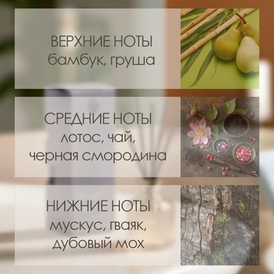 Диффузор ароматический Hygge #16 Бамбуковая роща, 50 мл