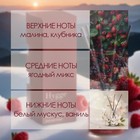Диффузор ароматический Hygge #5 Красные ягоды 100 мл - Фото 2