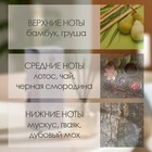 Диффузор ароматический Hygge #16 Бамбуковая роща 100 мл 10498071 - фото 304048