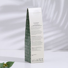 Диффузор ароматический Фруктовый микс, 100 мл - Фото 4