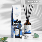 Диффузор ароматический Карибский закат, 100 мл - Фото 1