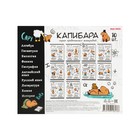 Комплект тетрадей 48 листов "Капибара", 10 предметов, обложка мелованный картон, тиснение лен, блок офсет - фото 24430776